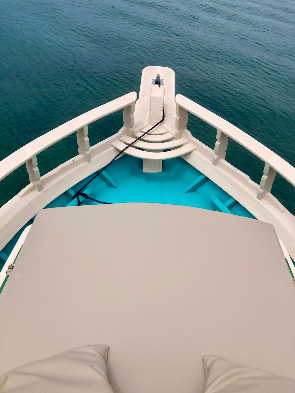 Traineira para 11 pessoas