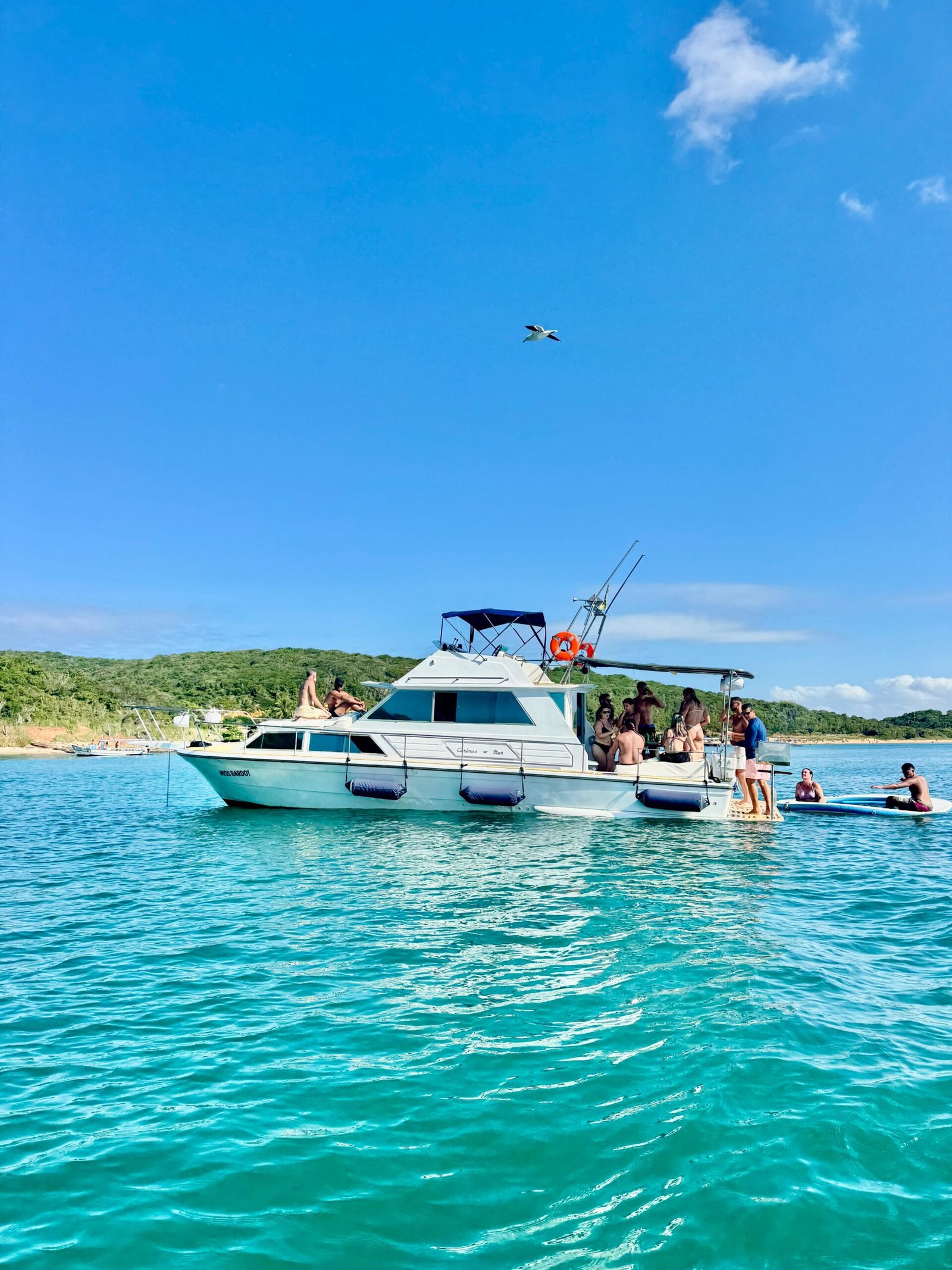 Lancha de 35 pés  Até 15 pessoas